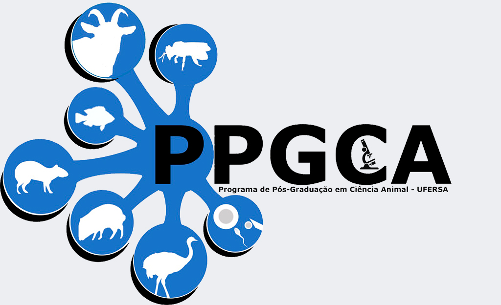 Processo seletivo 2026.1